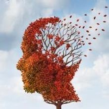 DREAM OF PERFECT SLEEP to Begin 17 June at Finborough Theatre