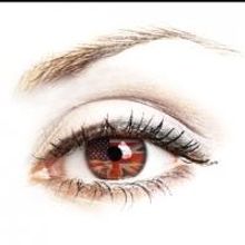 World Premiere of Theresa Rebeck's ZEALOT Begins Tonight at South Coast Rep