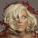 David Drake Stars in A VERY TAWNY CHRISTMAS! Benefit for Spotlighters Theatre, 12/28…