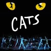 BWW Reviews: CATS, Bristol Hippodrome, October 16 2013 Photo