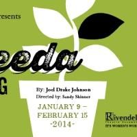 Rivendell Theatre Ensemble Presents World Premiere of Joel Drake Johnson's RASHEEDA…