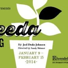 Rivendell Theatre Ensemble Presents World Premiere of Joel Drake Johnson's RASHEEDA S