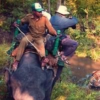 Wild Planet Details Best Times to Encounter Exotic Wildlife