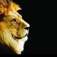 JOURNEY TO NARNIA Kids Theatrical Program Kicks Off Today at Trinity Wall Street