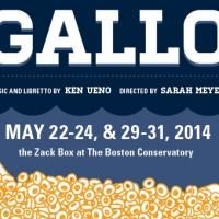 Guerilla Opera Present a Live Stream of the World Premiere of GALLO, 5/22