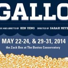 Guerilla Opera Present a Live Stream of the World Premiere of GALLO, 5/22