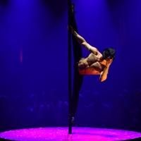 La Soiree Prepare For Royal Variety Performance And Announce New Acts!