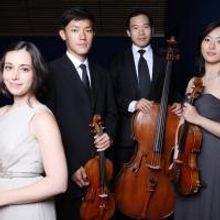 Mill Valley Chamber Music Society Presents Morgenstern Trio on November 17