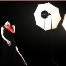 BWW Reviews: Art at the Heart of Partnering | FACETS with Alison Chase Performance