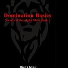 'Domination Basics: Secrets of the Alpha Male Book 1' Hits Amazon's Men's Gender Stud
