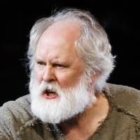 BWW Reviews: Sullivan's KING LEAR Lacks Serpent's Tooth Sharpness