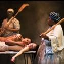 MIES JULIE Makes American Premiere at St. Ann's Warehouse, Now thru 12/2