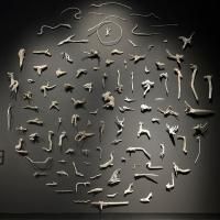 Pavilion of Australia Celebrates Grand Opening with Fiona Hall Exhibit Today