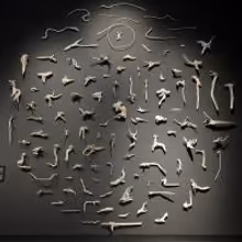 Pavilion of Australia Celebrates Grand Opening with Fiona Hall Exhibit Today