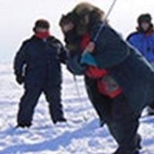 Alaska Report: Weather in the 90s with 19 Hours of Sunshine a Day