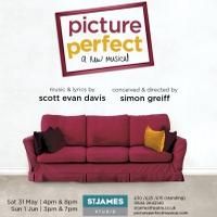 PICTURE PERFECT: The Beginning