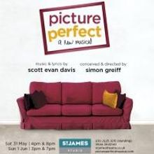 PICTURE PERFECT: The Beginning