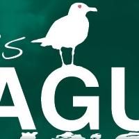 Berkshire Theatre Group Presents MASHA'S SEAGULL This Weekend