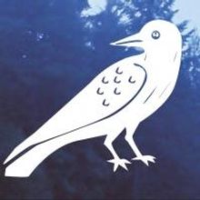 Jewish Theatre Workshop to Present STORIES AND POEMS OF EDGAR ALLAN POE Today