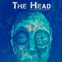 BWW Reviews: Trouble Puppet's THE HEAD is Full of Smarts