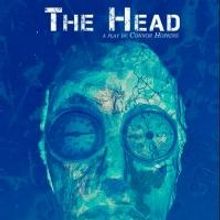 BWW Reviews: Trouble Puppet's THE HEAD is Full of Smarts