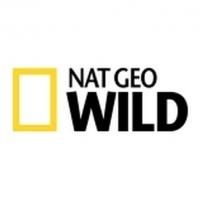 Nat Geo WILD's New Series BIGGEST & BADDEST to Premiere in June