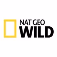 Nat Geo WILD's New Series BIGGEST & BADDEST to Premiere in June
