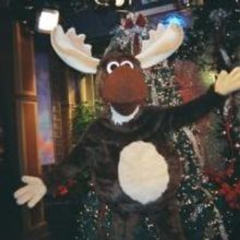 MOOSELTOE Returning to MPAC, 11/30