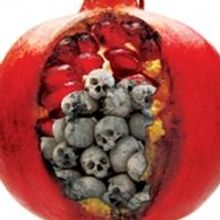 Shohreh Aghdashloo and More Set for 'STAGING THE UN-STAGEABLE' Tonight at Kirk Dougla