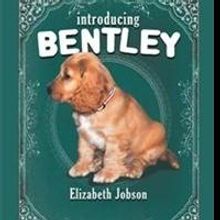 'Introducing Bentley' by Elizabeth Jobson is Released
