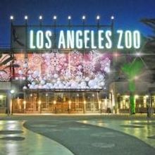 LA ZOO LIGHTS Electrifies with Animal Escapades In Lights, Lasers, Interactive…
