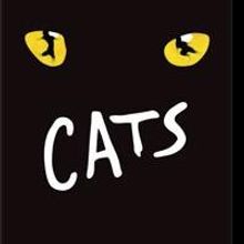 CATS Extends at Panasonic Theatre Through 9/1