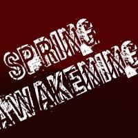 Red Branch Theatre Company's 2015 Season to Feature SPRING AWAKENING, DOGFIGHT & More