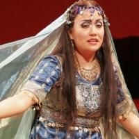 Opera Colorado's THE MAGIC FLUTE Begins Tomorrow