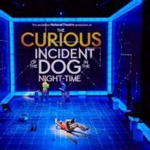 Performances Cancelled Through January 11 for THE CURIOUS INCIDENT OF THE DOG IN THE…