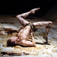Joyce Theater Debuts Season with Royal Ballet's THE METAMORPHOSIS, Now thru 9/29