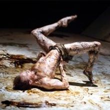 Joyce Theater Debuts Season with Royal Ballet's THE METAMORPHOSIS, Now thru 9/29