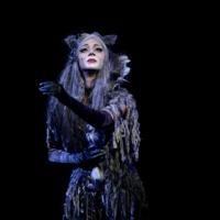 Palladium's CATS Set for Summer Run at Blackpool Opera House