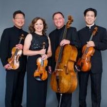 Miami Sting Quartet Coming to Ocean State Theatre as Part of Music on the Hill Festiv