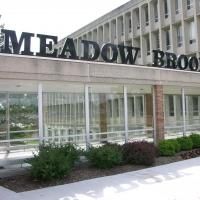 Meadow Brook Theatre Receives Michigan Council for Arts & Cultural Affairs Grant