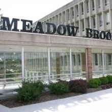 Meadow Brook Theatre Receives Michigan Council for Arts & Cultural Affairs Grant