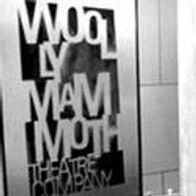  Woolly Mammoth Announces Andrew W. Mellon Foundation Playwright Residency Award for 