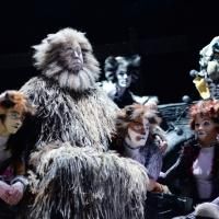 Official: CATS Set for Run at the London Palladium, Dec 2014; Tickets on Sale July 7