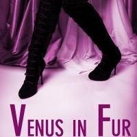 BWW Interviews: Director Jennifer Graham is Excited about VENUS IN FUR at…
