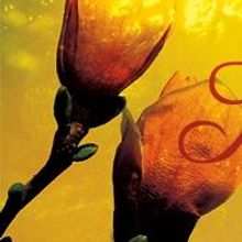 Purple Rose Theatre to Present STEEL MAGNOLIAS in 2015