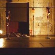 BWW Reviews: Pavel Zustiak/Palissimo Present ENDANGERED PIECES at Abrons Art Center