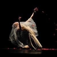 Shanghai Ballet to Make UK Debut with JANE EYRE, Aug 14-18