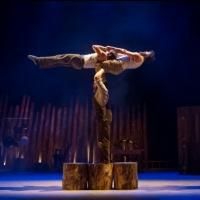 Photo Flash: Sneak Peek at Cirque Alfonse's TIMBER!, Coming to NYU Skirball