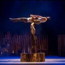 Photo Flash: Sneak Peek at Cirque Alfonse's TIMBER!, Coming to NYU Skirball