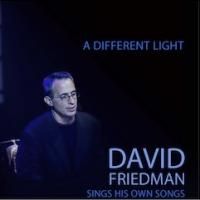 David Friedman Releases A DIFFERENT LIGHT & LET ME FLY Albums